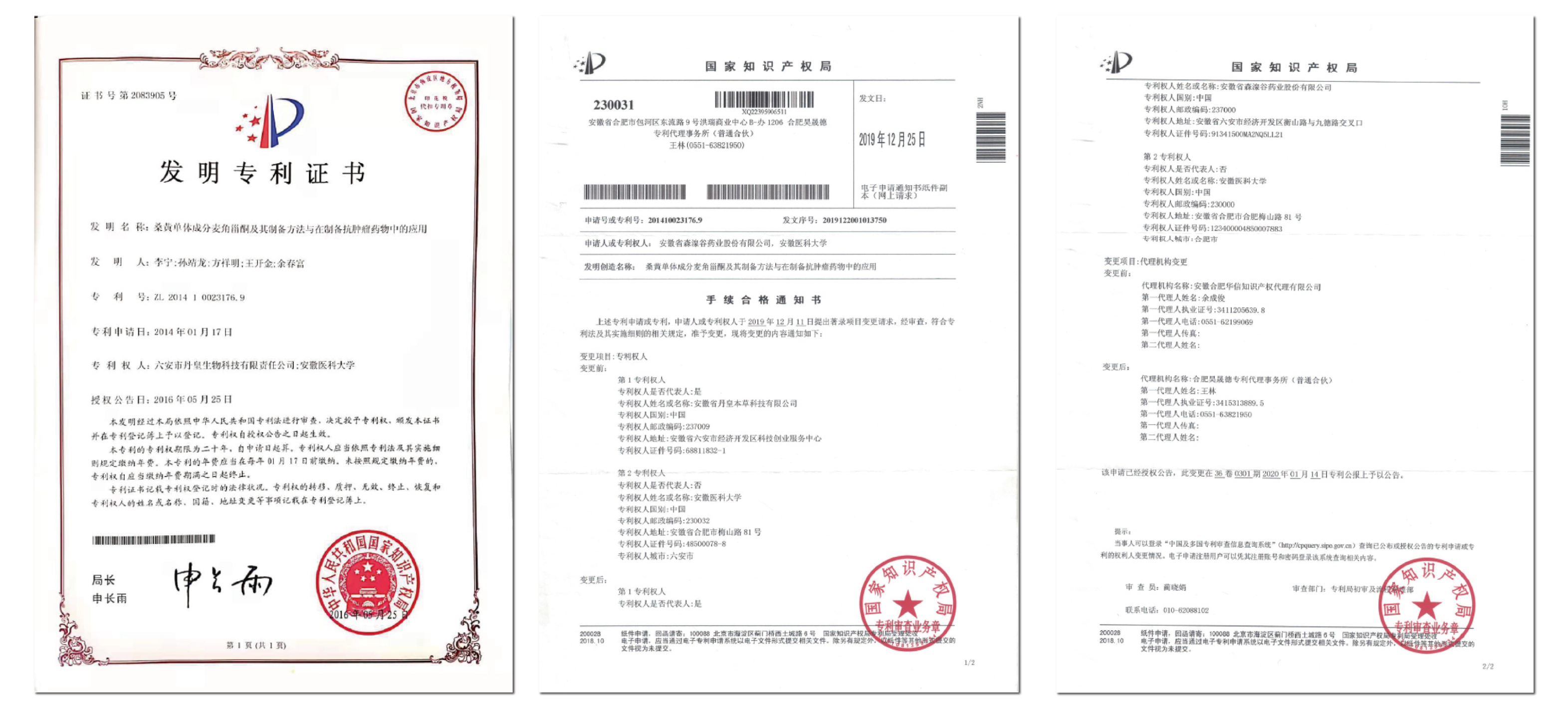 桑黄单体专利 (1).jpg