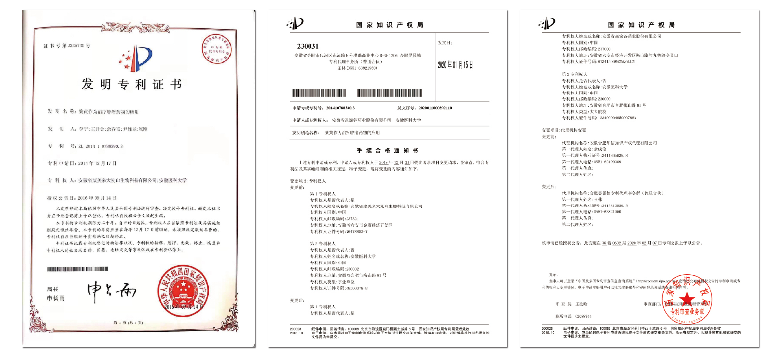 抗肿瘤专利 (1).jpg