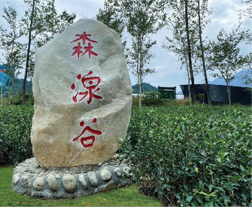 石头.jpg